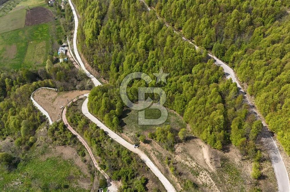 KOCAELİ KARTEPE SATILIK 1287 MT2 TARLA