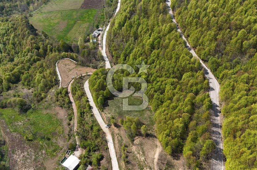 KOCAELİ KARTEPE SATILIK 1287 MT2 TARLA