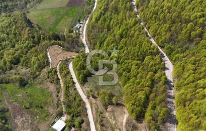 KOCAELİ KARTEPE SATILIK 1287 MT2 TARLA