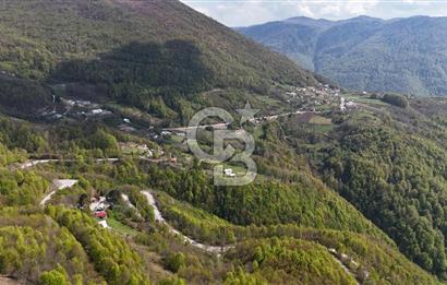 KOCAELİ KARTEPE SATILIK 1287 MT2 TARLA