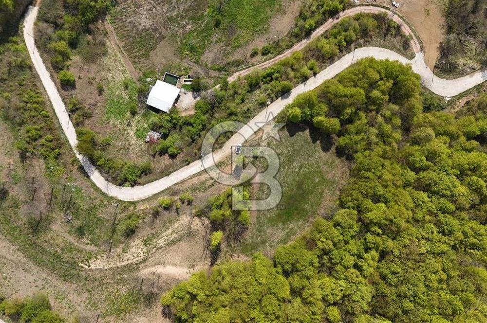 KOCAELİ KARTEPE SATILIK 1287 MT2 TARLA