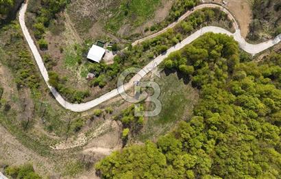 KOCAELİ KARTEPE SATILIK 1287 MT2 TARLA