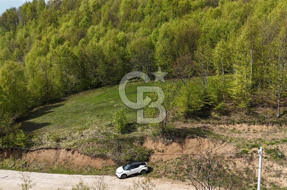 KOCAELİ KARTEPE SATILIK 1287 MT2 TARLA