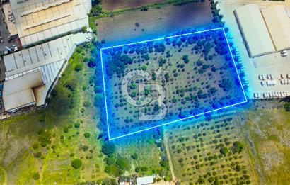 Kusadası nda Satılık Villa İmarlı Arsa