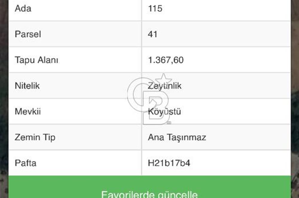 BURSA MUDANYA İPEKYAYLA’da SATILIK ZEYTİNLİK