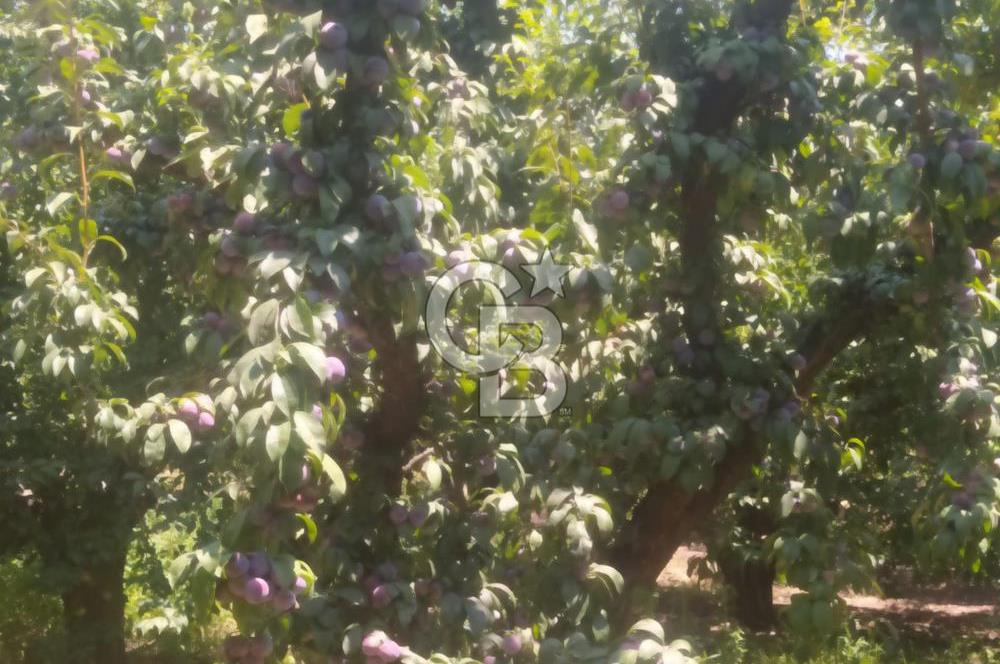 Kusadası nda Satılık Villa İmarlı Arsa