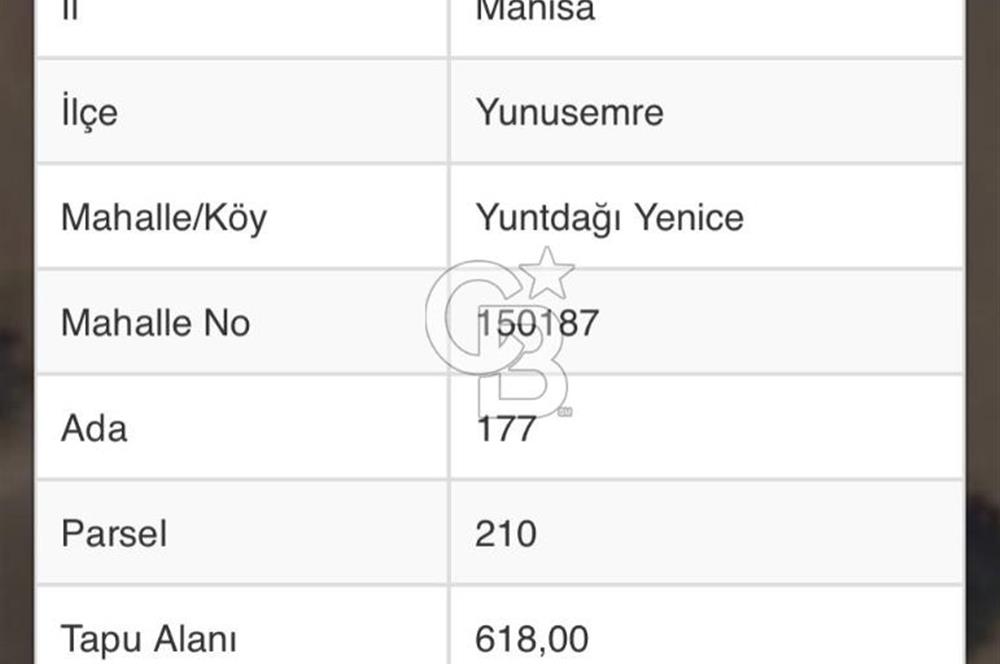 Manisa Yunusemre Yuntdağı Yenice Köyünde Satılk Tarla