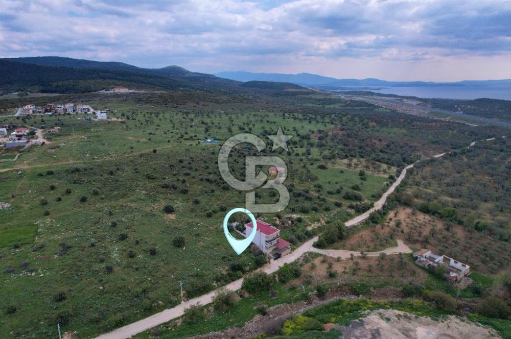 BERGAMA ZEYTİNDAĞ VİLLA İMARLI KÖŞE PARSEL