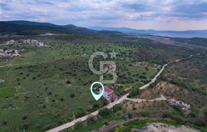 BERGAMA ZEYTİNDAĞ VİLLA İMARLI KÖŞE PARSEL