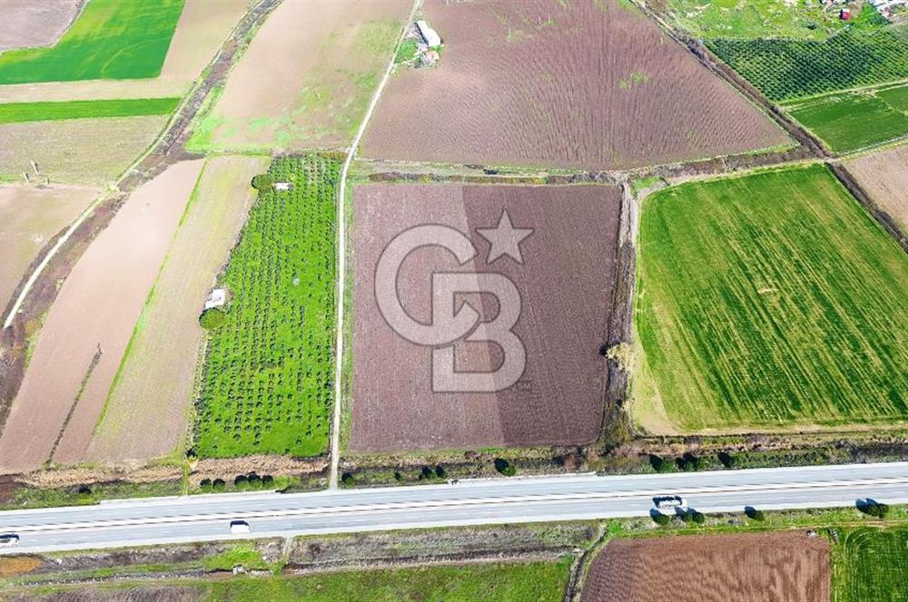 DİKİLİ’DE İZMİR ÇANAKKALE YOLU ÜZERİ DEPO RUHSATINA UYGUN TARLA