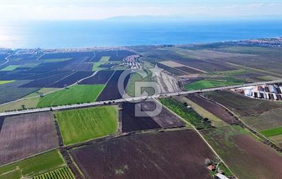 DİKİLİ’DE İZMİR ÇANAKKALE YOLU ÜZERİ DEPO RUHSATINA UYGUN TARLA