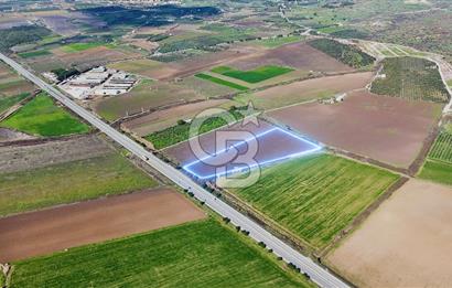 DİKİLİ’DE İZMİR ÇANAKKALE YOLU ÜZERİ DEPO RUHSATINA UYGUN TARLA