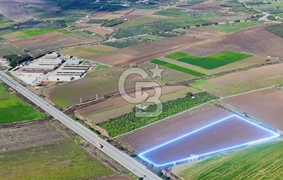 DİKİLİ’DE İZMİR ÇANAKKALE YOLU ÜZERİ DEPO RUHSATINA UYGUN TARLA