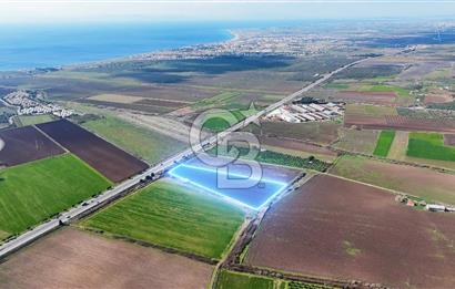 DİKİLİ’DE İZMİR ÇANAKKALE YOLU ÜZERİ DEPO RUHSATINA UYGUN TARLA