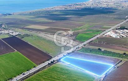 DİKİLİ’DE İZMİR ÇANAKKALE YOLU ÜZERİ DEPO RUHSATINA UYGUN TARLA