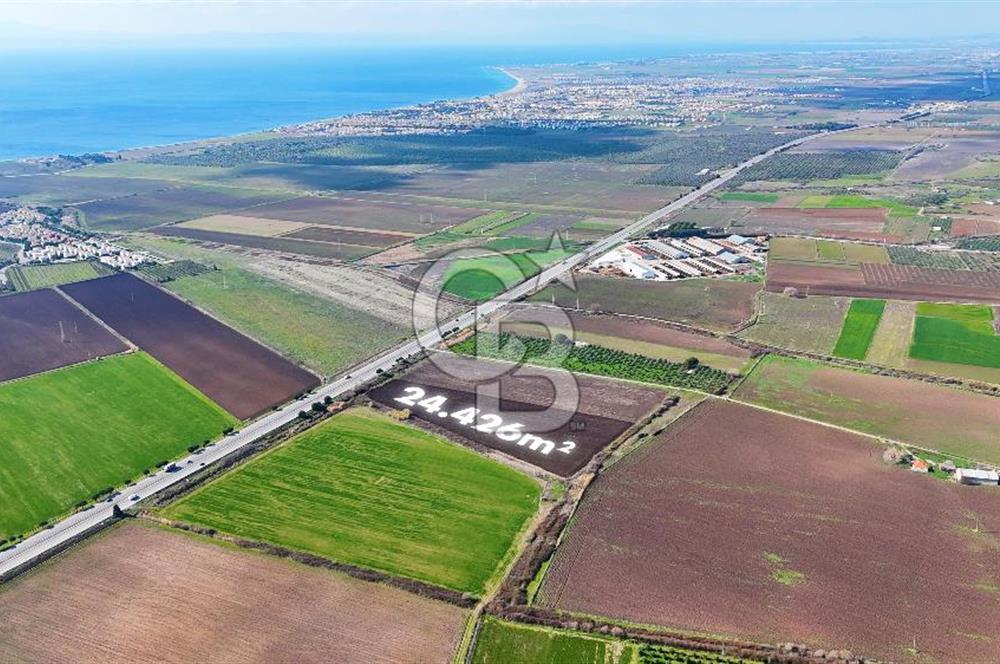 DİKİLİ’DE İZMİR ÇANAKKALE YOLU ÜZERİ DEPO RUHSATINA UYGUN TARLA