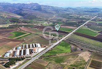 DİKİLİ’DE İZMİR ÇANAKKALE YOLU ÜZERİ DEPO RUHSATINA UYGUN TARLA