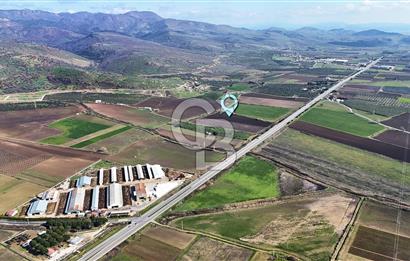 DİKİLİ’DE İZMİR ÇANAKKALE YOLU ÜZERİ DEPO RUHSATINA UYGUN TARLA