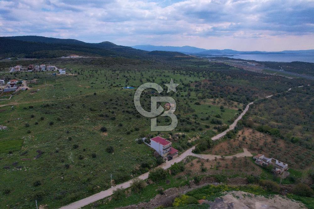 BERGAMA ZEYTİNDAĞ VİLLA İMARLI KÖŞE PARSEL