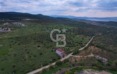 BERGAMA ZEYTİNDAĞ VİLLA İMARLI KÖŞE PARSEL