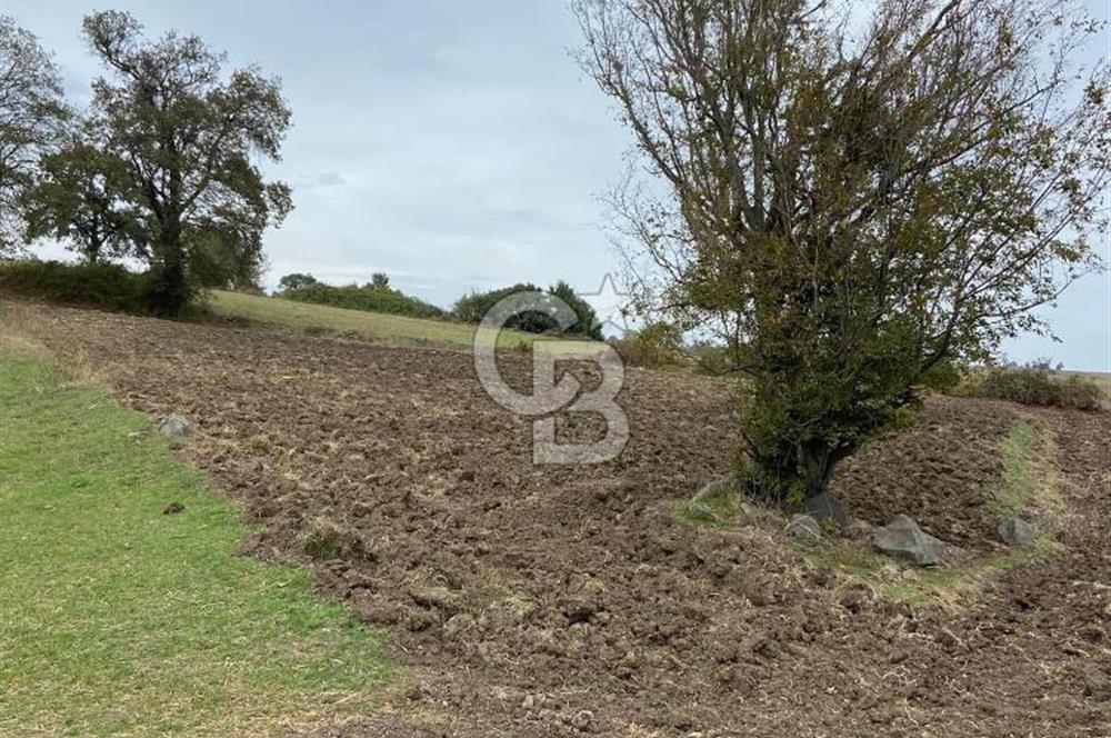 Köselide İmar Planı Düzenlemesi Olmuş Deniz Manzaralı Tarla
