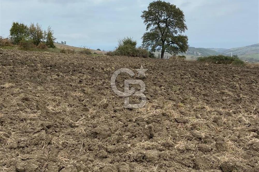 Köselide İmar Planı Düzenlemesi Olmuş Deniz Manzaralı Tarla