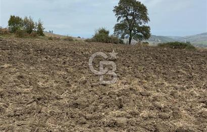 Köselide İmar Planı Düzenlemesi Olmuş Deniz Manzaralı Tarla