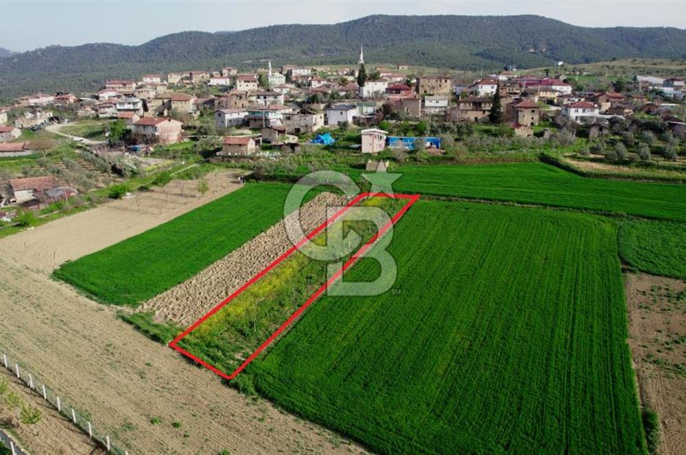 CB CITY’Den BİLECİK OSMANELİ BÜYÜKYENİCE’DE SATILIK TARLA