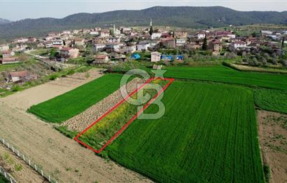 CB CITY’Den BİLECİK OSMANELİ BÜYÜKYENİCE’DE SATILIK TARLA