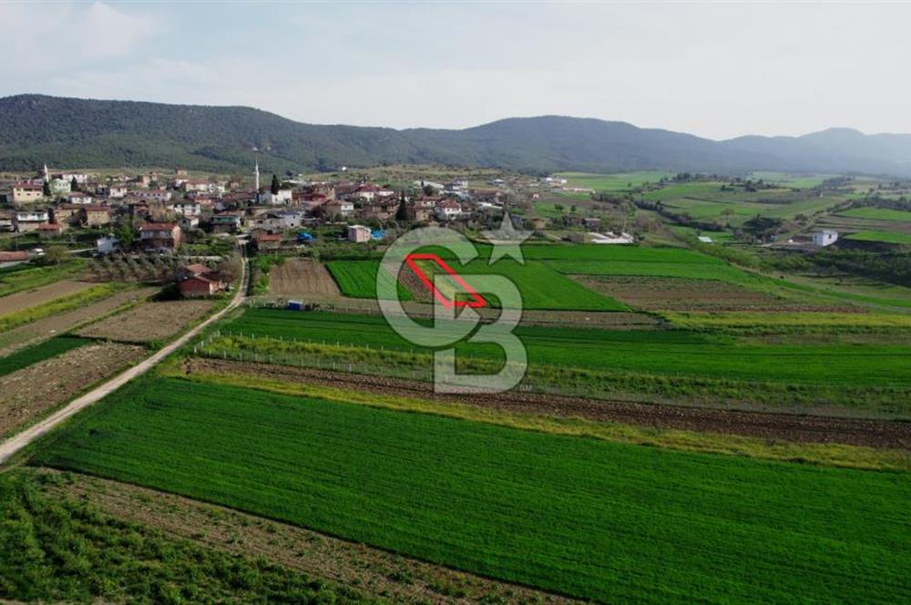 CB CITY’Den BİLECİK OSMANELİ BÜYÜKYENİCE’DE SATILIK TARLA