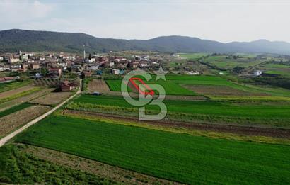 CB CITY’Den BİLECİK OSMANELİ BÜYÜKYENİCE’DE SATILIK TARLA