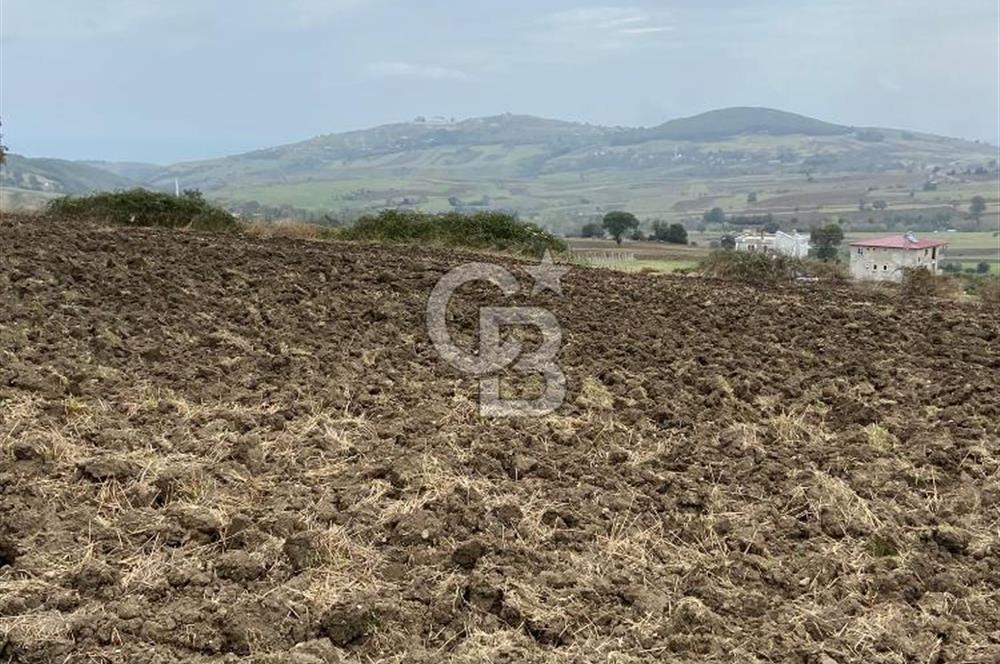 Köselide İmar Planı Düzenlemesi Olmuş Deniz Manzaralı Tarla