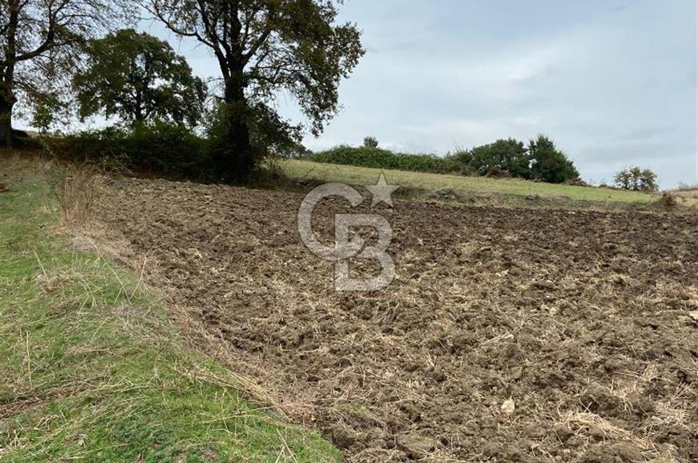 Köselide İmar Planı Düzenlemesi Olmuş Deniz Manzaralı Tarla