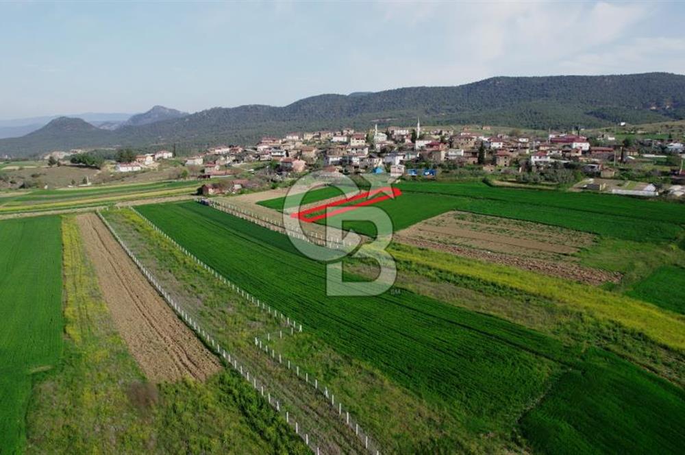 CB CITY’Den BİLECİK OSMANELİ BÜYÜKYENİCE’DE SATILIK TARLA