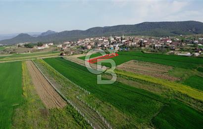 CB CITY’Den BİLECİK OSMANELİ BÜYÜKYENİCE’DE SATILIK TARLA