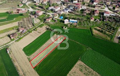 CB CITY’Den BİLECİK OSMANELİ BÜYÜKYENİCE’DE SATILIK TARLA