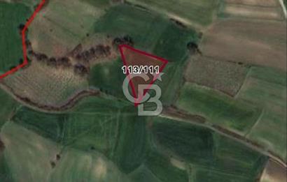 Köselide İmar Planı Düzenlemesi Olmuş Deniz Manzaralı Tarla
