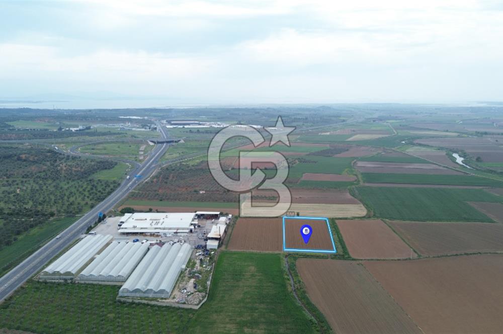 BERGAMA ZEYTİNDAĞDA 8320 M2 SATILIK TARLA