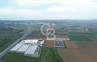 BERGAMA ZEYTİNDAĞDA 8320 M2 SATILIK TARLA