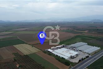 BERGAMA ZEYTİNDAĞDA 8320 M2 SATILIK TARLA