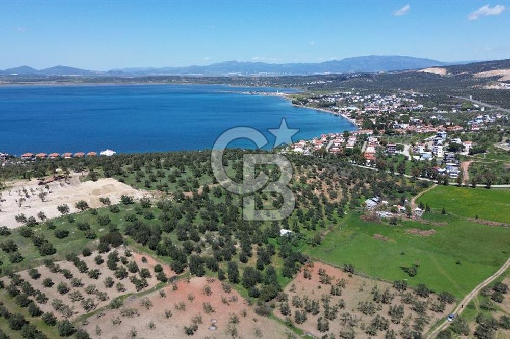 ALİAĞA ŞAKRAN'DA (2000 M2) SATILIK ARSA