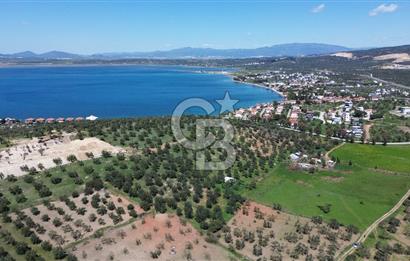 ALİAĞA ŞAKRAN'DA (2000 M2) SATILIK ARSA