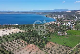 ALİAĞA ŞAKRAN'DA (2000 M2) SATILIK ARSA