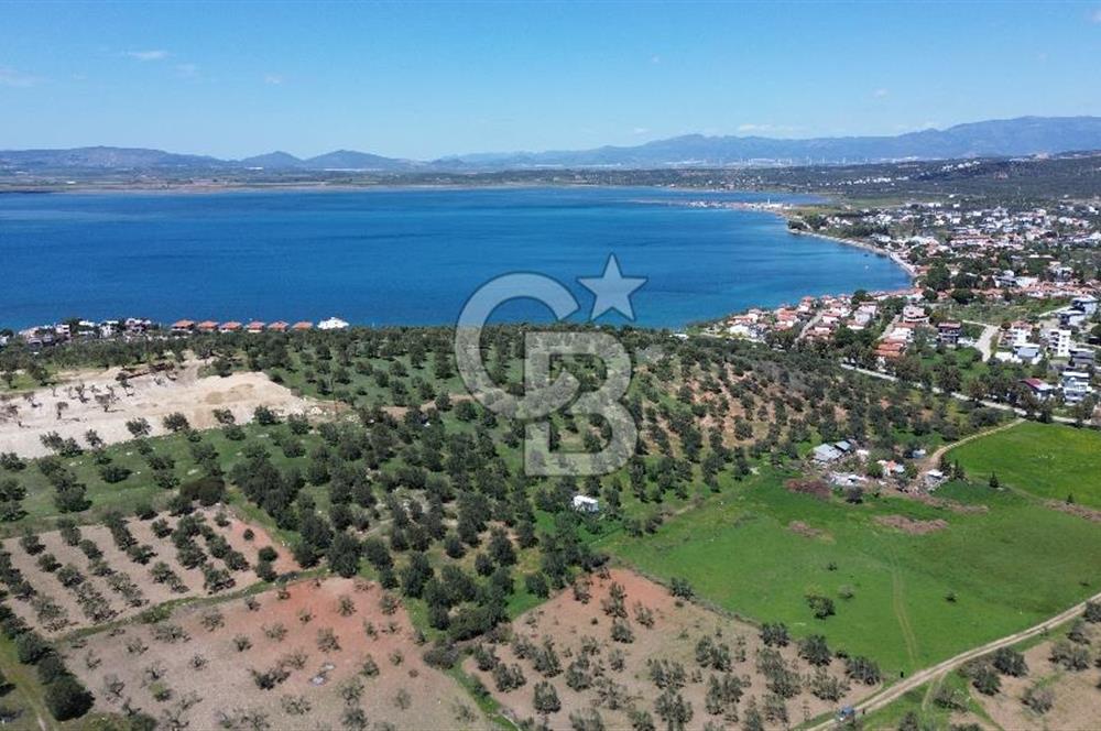ALİAĞA ŞAKRAN'DA (2000 M2) SATILIK ARSA