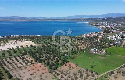ALİAĞA ŞAKRAN'DA (2000 M2) SATILIK ARSA