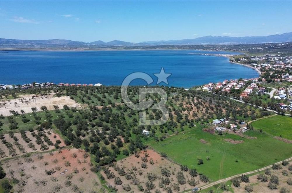 ALİAĞA ŞAKRAN'DA (2000 M2) SATILIK ARSA