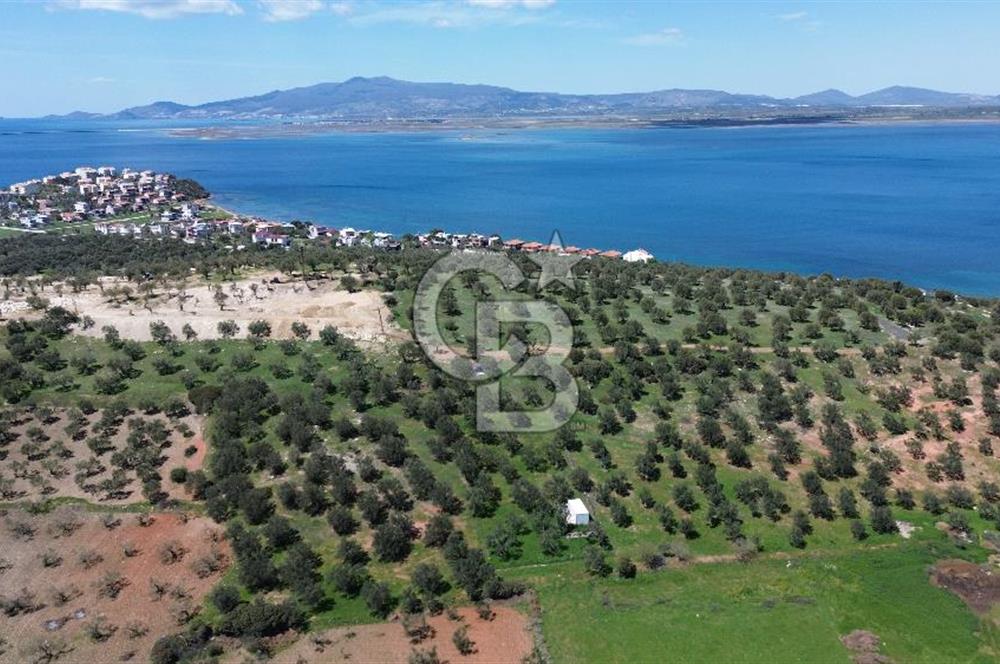 ALİAĞA ŞAKRAN'DA (2000 M2) SATILIK ARSA