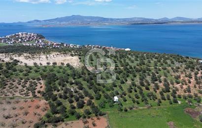 ALİAĞA ŞAKRAN'DA (2000 M2) SATILIK ARSA