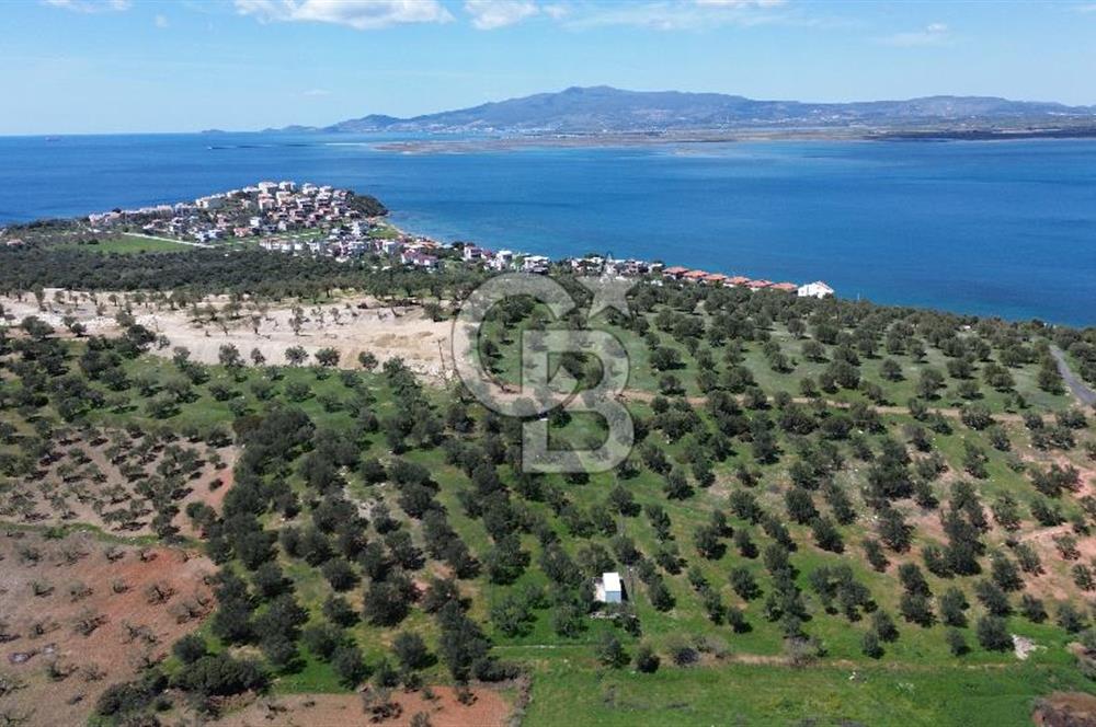 ALİAĞA ŞAKRAN'DA (2000 M2) SATILIK ARSA