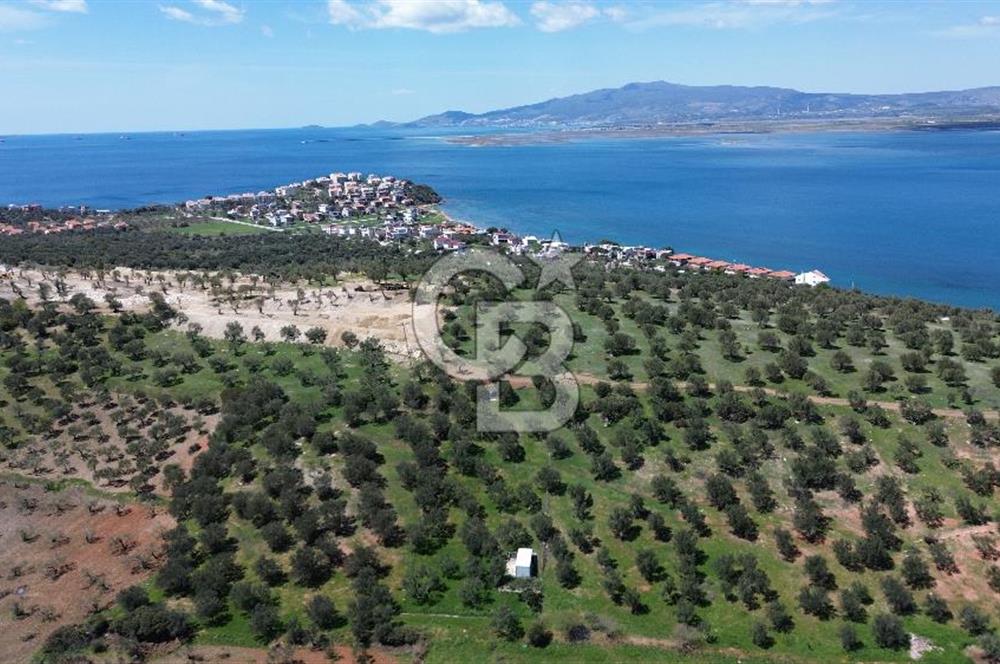 ALİAĞA ŞAKRAN'DA (2000 M2) SATILIK ARSA